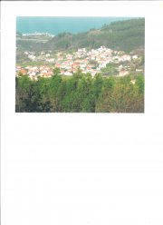 Solar con proyecto y licencia para dos chalets pareados