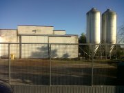granja de pollos
