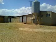 Venta de explotación ovina