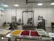 Obrador de pasta fresca italiana, salsas, dulces y platos preparados para llevar