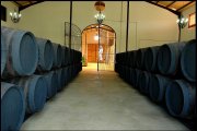 bodega en activo, jerez