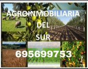 Empresa agroalimentaria con fábrica y fincas propias.