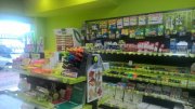 Papeleria, Libreria, Hobbies