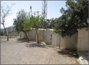 residencia canina