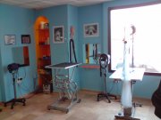 Peluqueria Canina
