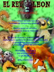 tienda de animales-consultorio veterinario y peluquería canina