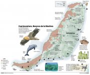 Solares y terrenos en Fuerteventura