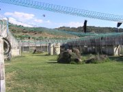 Negocio airsoft - paintball