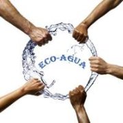 negocio que presta servicio de limpieza y conservación de vehículos y en ambientes en general