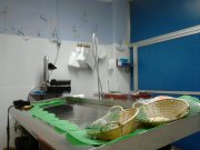 traspaso pescaderia