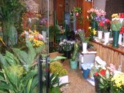 comercio zona centro, c/leganitos