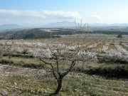 Proyecto de Camping de lujo en Murcia