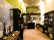 Museo del Aceite