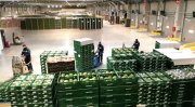 Plataforma Logística (para Fruta y Verdura)