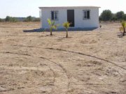 Finca a 30 Minutos de Toledo con casita de campo 36000euros