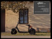 Negocio de Alquiler y Venta de Patinetes Eléctricos, Scooters Eléctricas