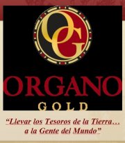 negocio de alimentacion