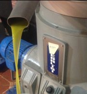 Almazara busca inversores