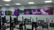 Traspaso bar cafeteria