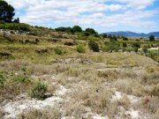 venta explotación agrícola