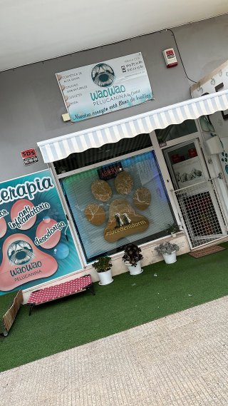 Traspaso peluqueria canina waowao