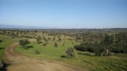 Sociedad / Importantes activos tangibles / Finca - Company for Sale