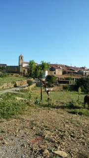 Traspaso Taberna-Meson