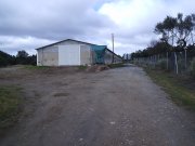 vendo granja de pollos