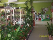 Traspaso floristeria por jubilacion