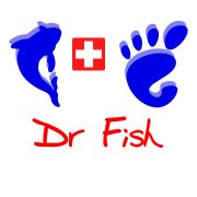 Dr. Fish busca franquiciados para la zona de Madrid