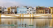 Traspaso magnifico negocio en funcionamiento en zona emblemática de Sevilla