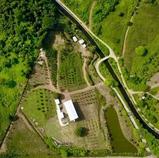 Negocio como Gestor Ambiental