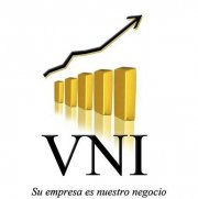logo_vni_1285812166.jpg