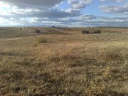 Finca 25.000m2 a 40km de talavera la reina solo 18000euros