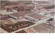 Venta de Fábrica de Salazón y Curado de Jamones