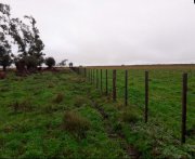 Finca Ganadera en Argentina - 1.000 Has