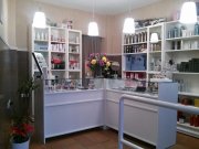 Traspaso gremio de peluqueria y estetica