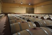 bodega d.o. toro