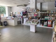 Peluquería Canina
