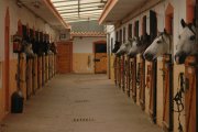 centro y escuela de equitacion