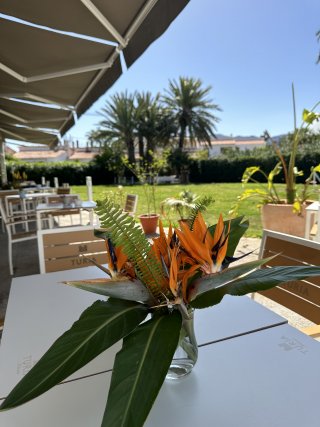 Traspaso Restaurante con jardín privado y dos apartamentos Dénia