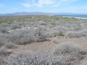 parcela con playa en venta