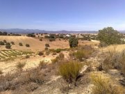 Finca 10.500m2 a 40km Madrid con permiso para construir poe 21.000 Euros