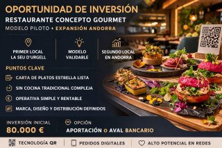 Socio Capitalista para nuevo concepto gastronomico Escalable
