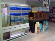 Tienda de animales y peluquería canina