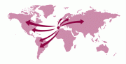 exportador