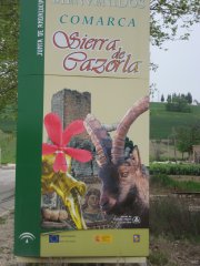 proyecto camping