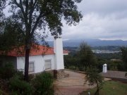 Vendo o comparto finca olivos y viña
