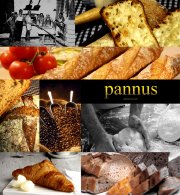 pannus