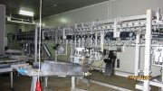  matadero de pollos en Romania